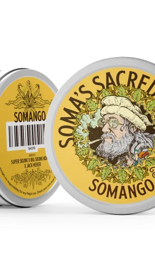 somango.webp?itok=vi1NHWlm