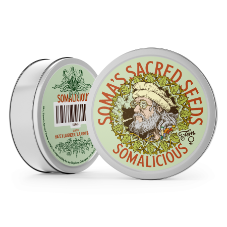 Somalicious strain
