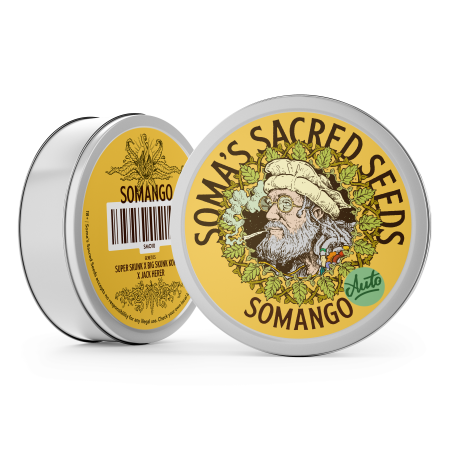 Somango Autoflower strain